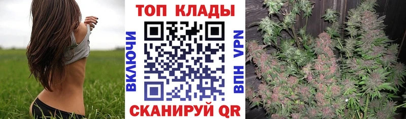 Как найти закладки Оренбург Бошки Шишки blacksprut вход APVP ГАШИШ Мефедрон