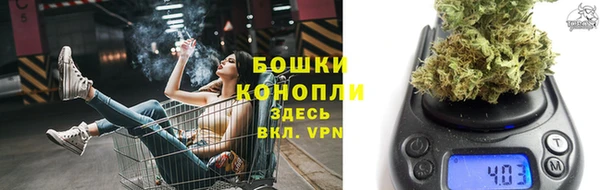 крисы Богородицк