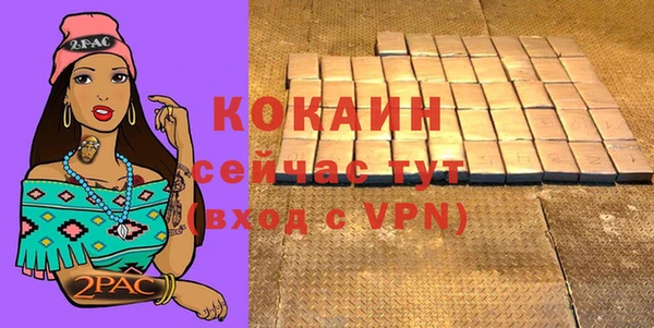 крисы Богородицк