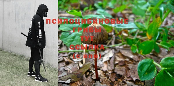 СК Богданович