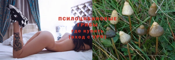 гидра Беломорск