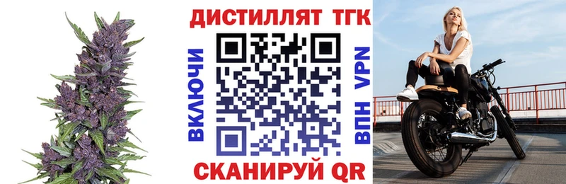 дарк нет формула  где найти   Оренбург  Дистиллят ТГК THC oil 