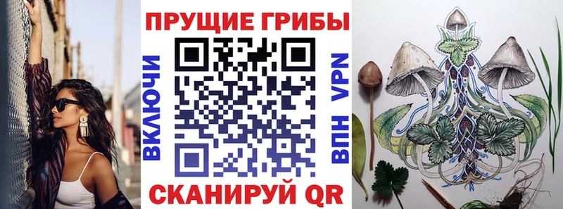 OMG зеркало Оренбург маркетплейс формула Галлюциногенные грибы мицелий