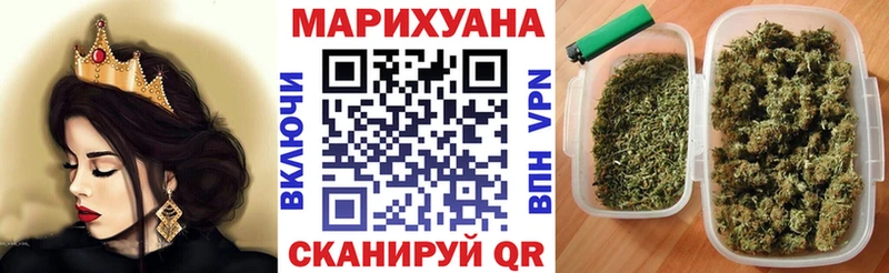 OMG   Оренбург  Бошки марихуана ГИДРОПОН 